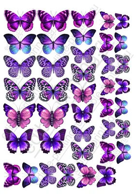 Красивые бабочки на фото в пурпурном оттенке