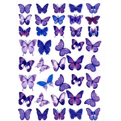 Фотка фиолетовых бабочек на экране