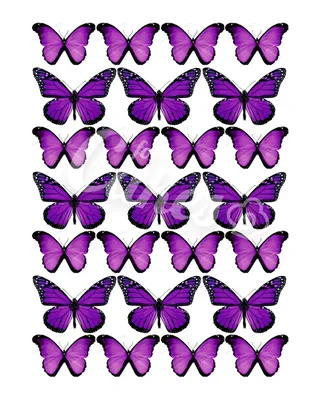 Картинка прекрасных фиолетовых бабочек