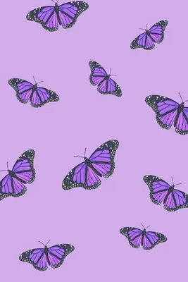 Картинка с фиолетовыми бабочками для фотогалереи