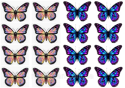 Изображение фиолетовых бабочек в наилучшем качестве
