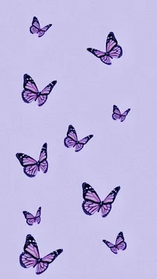Фото коллекция бабочек фиолетовых от профессионалов