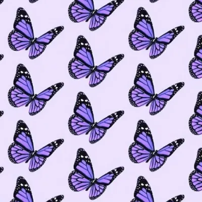 Изображение бабочек в фиолетовой окраске для скачивания