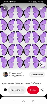 Фотоальбом с фиолетовыми бабочками в главной роли