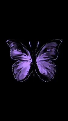 Изображение фиолетовых бабочек в различных размерах