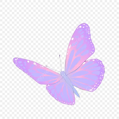 Фотография бабочек в фиолетовых тонах на вашем экране