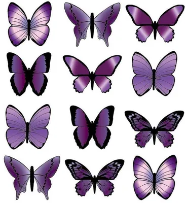 Фотоальбом фиолетовых бабочек на вашем сайте