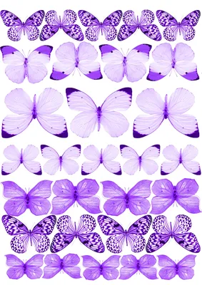 Картинка с фиолетовыми бабочками для скачивания