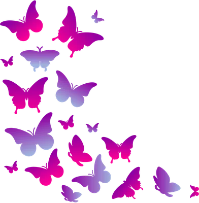 Изображение бабочек в великолепном исполнении для скачивания