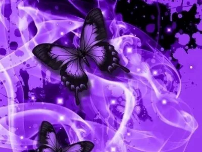 Красивые бабочки на фото в фиолетовых тонах