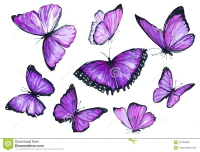 Фотофон фиолетовых бабочек на вашем устройстве