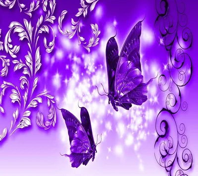 Картинка прекрасных фиолетовых бабочек на вашем экране