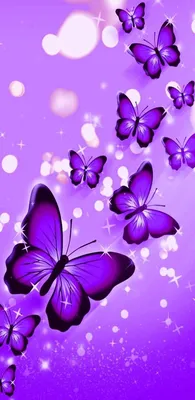 Фото фиолетовых бабочек на фоне ярких цветов
