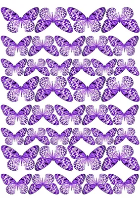 Фотография прекрасныx фиолетовых бабочек на сайте