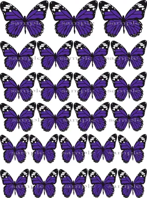 Фото собрания фиолетовых бабочек на вашем экране