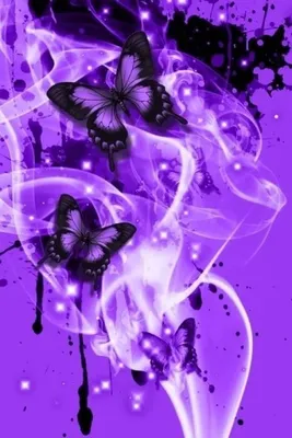 Фотка фиолетовых бабочек в естественной среде обитания