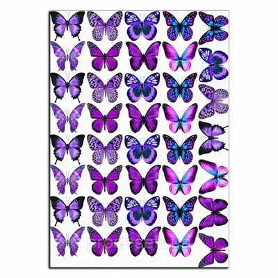 Изображение бабочек в фиолетовом исполнении