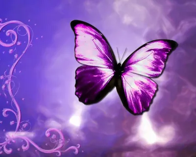 Фотография фиолетовых бабочек на фоне живописных пейзажей