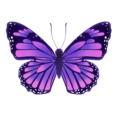 Изображение фиолетовых бабочек в формате JPG для скачивания