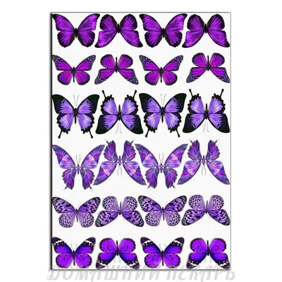 Фото коллекции фиолетовых бабочек