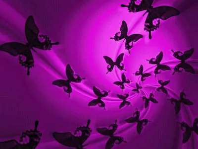 Фотка фиолетовых бабочек на заднем плане