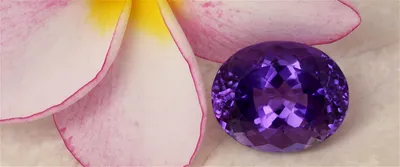 Фиолетовые фото: красота в простоте