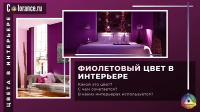 Фиолетовые элементы в гостинной: стиль и комфорт (фото)