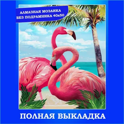 Фламинго на пляже: великолепие природы в движении