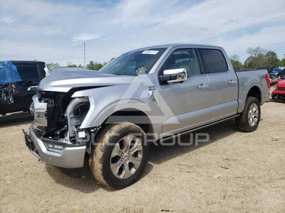 Фото Ford F-150 2023: доступно для скачивания