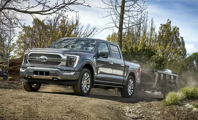 Фото Ford F-150 2023: выбери нужный размер и формат