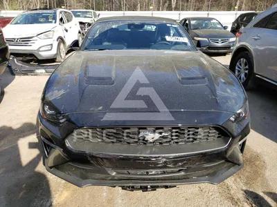 Скачайте фото Ford Mustang 2023 в WebP формате