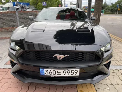 Фото Ford Mustang 2023 в формате JPG для печати