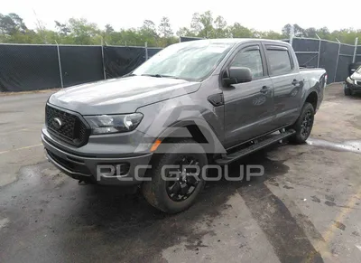 Фото Ford Ranger 2023 на природе