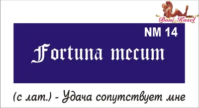 Выберите свое идеальное фото татуировки на странице fortuna mecum тату