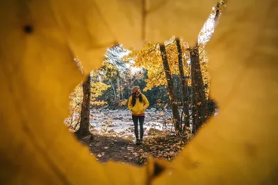 Волшебная фотосессия: захватывающие фото в лесу