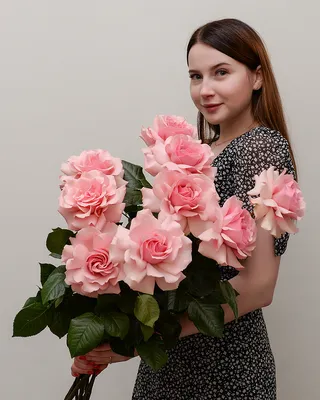 Изумительное фото Французской розы в формате JPG