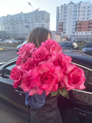 Фотография Французской розы: изысканная красота природы