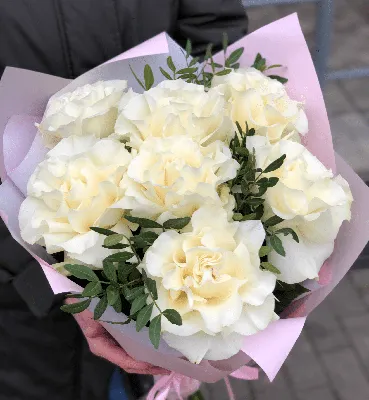Красивая картинка Французской розы для скачивания