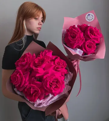 Французская роза: красивое изображение для фотоколлажей