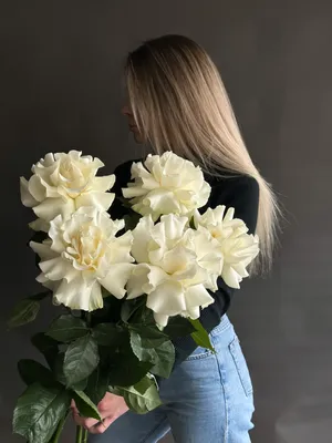 Фотография Французской розы с богатыми деталями