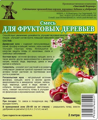 Уютное абрикосовое дерево создает магическую атмосферу в саду