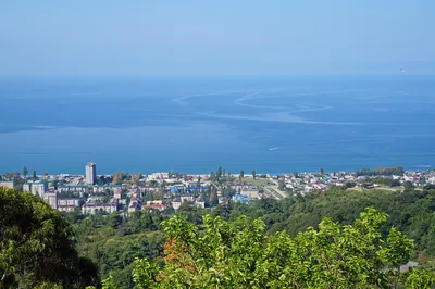 Зимняя панорама Гагр: выберите формат загрузки