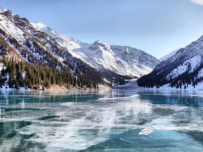 Зимние зарисовки Гагр: фотографии для сохранения