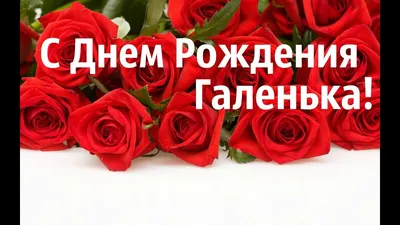 Фотографии Галчонок С Днем Рождения: замечательные моменты для поздравлений!