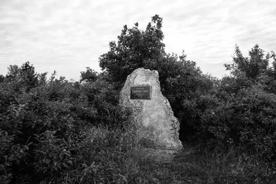 Ошеломляющая красота Галичьей горы на фотографиях