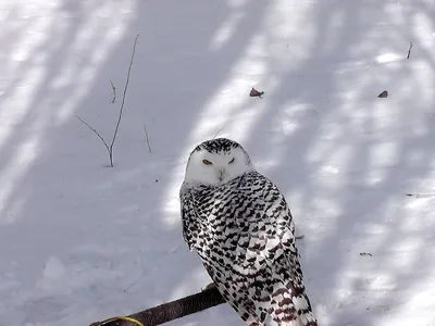 Арт-фото Галичьей горы