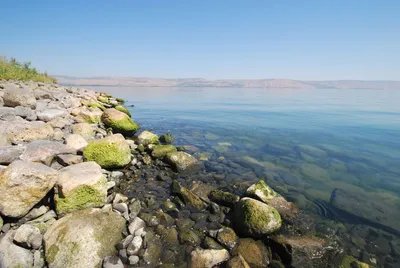 Великолепие природы: фотографии Галилейского моря