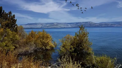 Уникальные картинки Галилейского моря для любителей природы