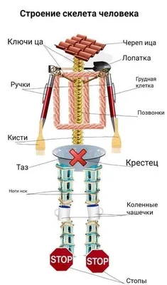 Картинки Галкина и Дроботенко в ванной - в HD качестве