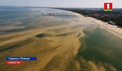 Расслабление и покой на фотографиях морского Гданьска